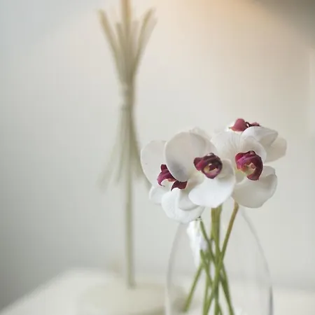 Atico Con Amplia Terraza Nautilus I - Vut-124-as